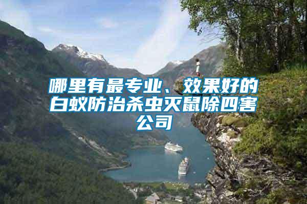 哪里有最專業(yè)、效果好的白蟻防治殺蟲(chóng)滅鼠除四害公司