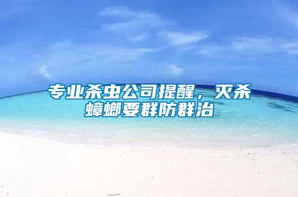專業殺蟲公司提醒，滅殺蟑螂要群防群治