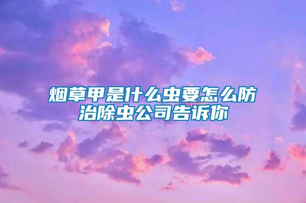 煙草甲是什么蟲(chóng)要怎么防治除蟲(chóng)公司告訴你