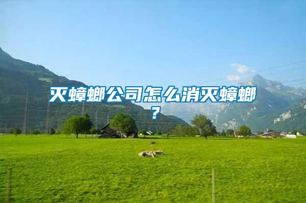 滅蟑螂公司怎么消滅蟑螂？