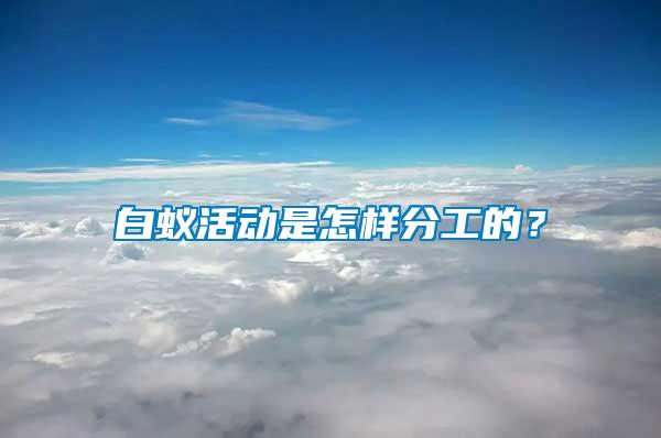 白蟻活動是怎樣分工的？