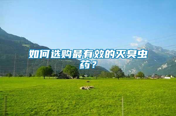 如何選購最有效的滅臭蟲藥？