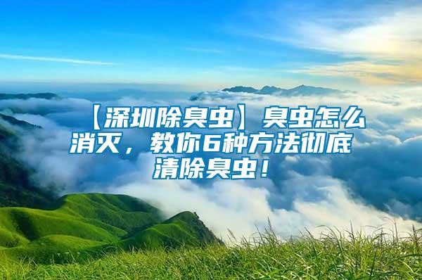 【深圳除臭蟲(chóng)】臭蟲(chóng)怎么消滅，教你6種方法徹底清除臭蟲(chóng)！
