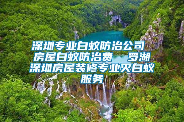 深圳專(zhuān)業(yè)白蟻防治公司 房屋白蟻防治費(fèi)  羅湖深圳房屋裝修專(zhuān)業(yè)滅白蟻服務(wù)