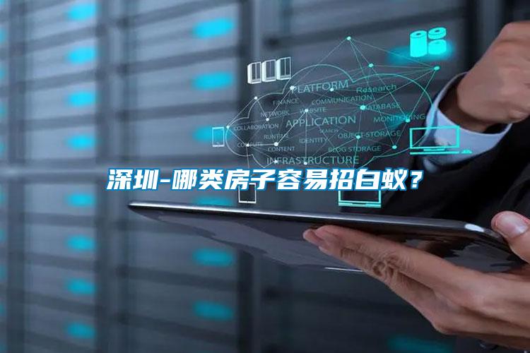 深圳-哪類房子容易招白蟻？