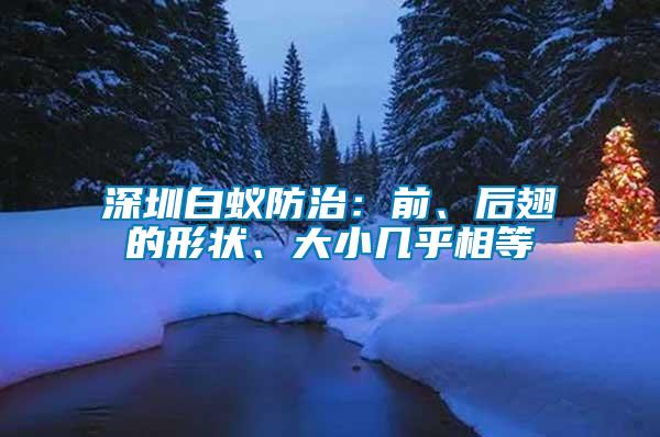 深圳白蟻防治：前、后翅的形狀、大小幾乎相等