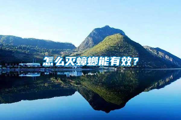 怎么滅蟑螂能有效？