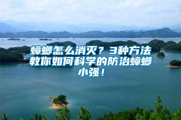 蟑螂怎么消滅？3種方法教你如何科學(xué)的防治蟑螂小強！