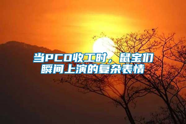 當(dāng)PCO收工時，鼠寶們瞬間上演的復(fù)雜表情