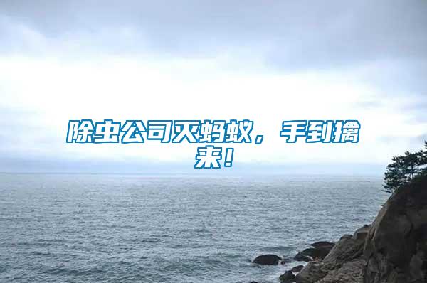 除蟲公司滅螞蟻，手到擒來！