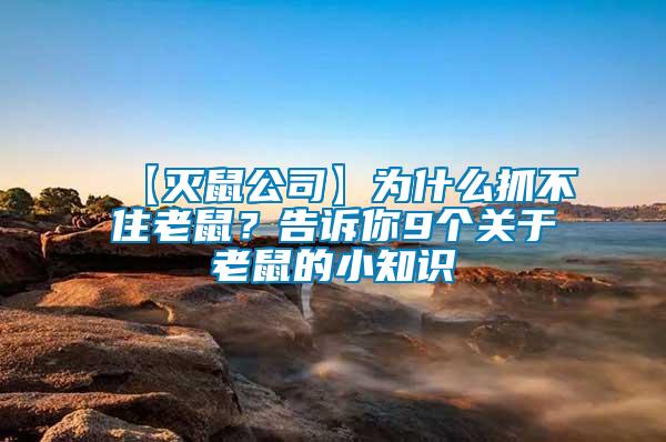 【滅鼠公司】為什么抓不住老鼠？告訴你9個關(guān)于老鼠的小知識
