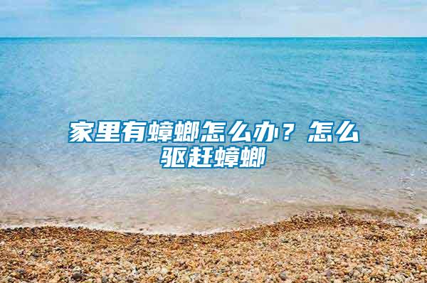 家里有蟑螂怎么辦？怎么驅(qū)趕蟑螂