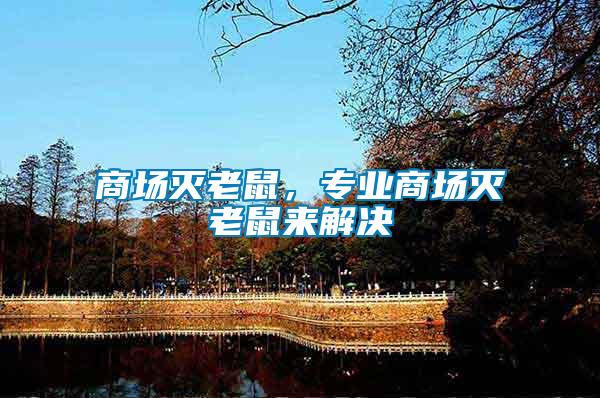 商場滅老鼠，專業(yè)商場滅老鼠來解決