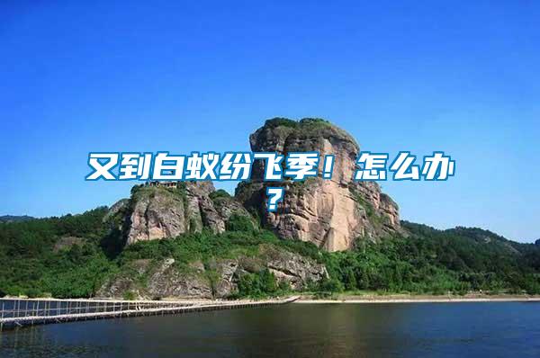 又到白蟻紛飛季！怎么辦？