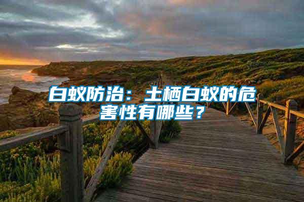 白蟻防治：土棲白蟻的危害性有哪些？