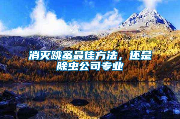 消滅跳蚤最佳方法，還是除蟲公司專業