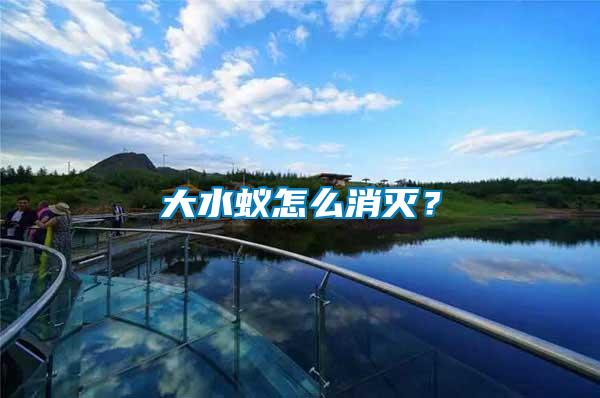 大水蟻怎么消滅？