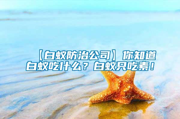 【白蟻防治公司】你知道白蟻吃什么？白蟻只吃素！
