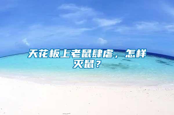 天花板上老鼠肆虐，怎樣滅鼠？
