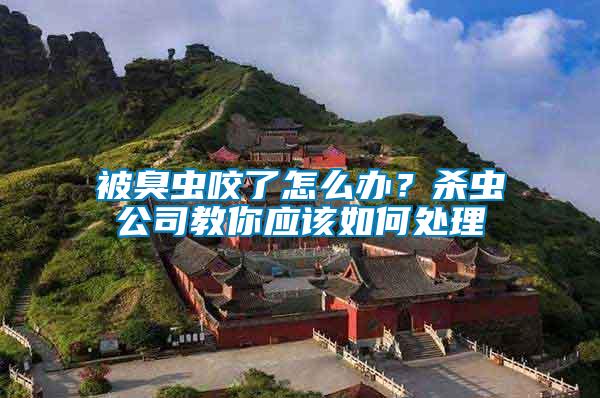 被臭蟲咬了怎么辦？殺蟲公司教你應該如何處理