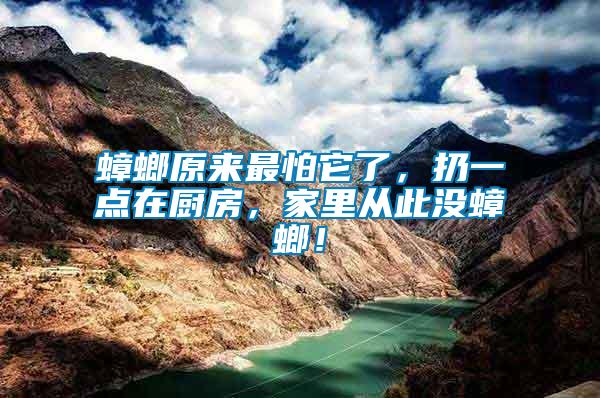 蟑螂原來最怕它了，扔一點在廚房，家里從此沒蟑螂！