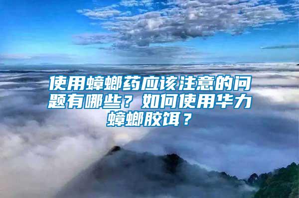 使用蟑螂藥應(yīng)該注意的問題有哪些？如何使用華力蟑螂膠餌？