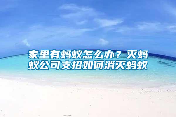 家里有螞蟻怎么辦？滅螞蟻公司支招如何消滅螞蟻
