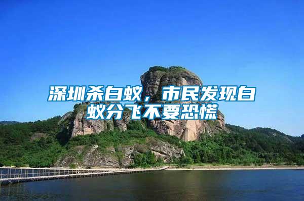 深圳殺白蟻，市民發現白蟻分飛不要恐慌