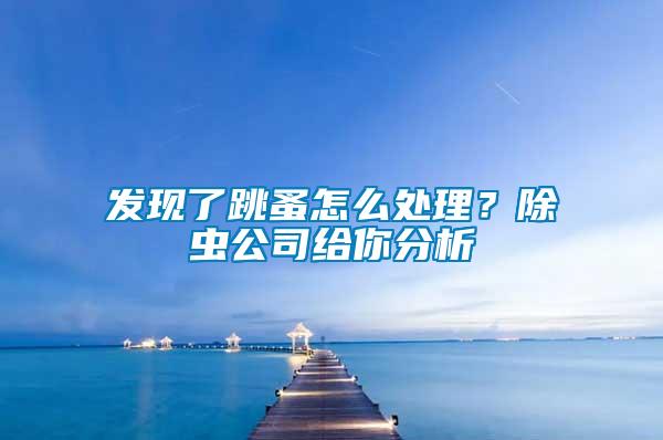 發(fā)現(xiàn)了跳蚤怎么處理？除蟲公司給你分析