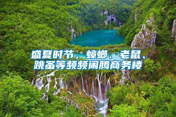 盛夏時節(jié)，蟑螂、老鼠、跳蚤等頻頻鬧騰商務樓