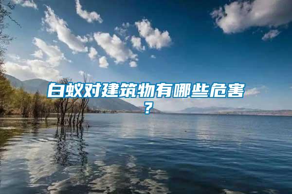 白蟻對建筑物有哪些危害？