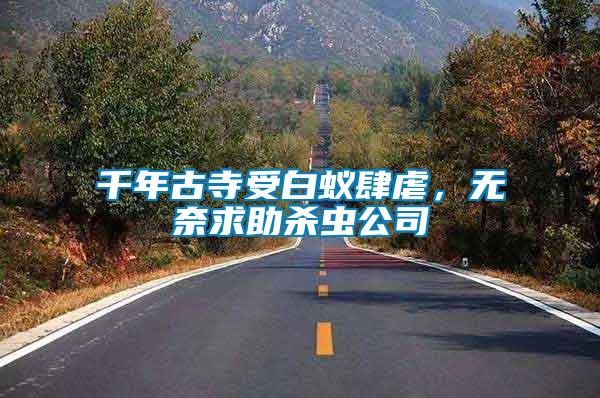 千年古寺受白蟻肆虐，無奈求助殺蟲公司