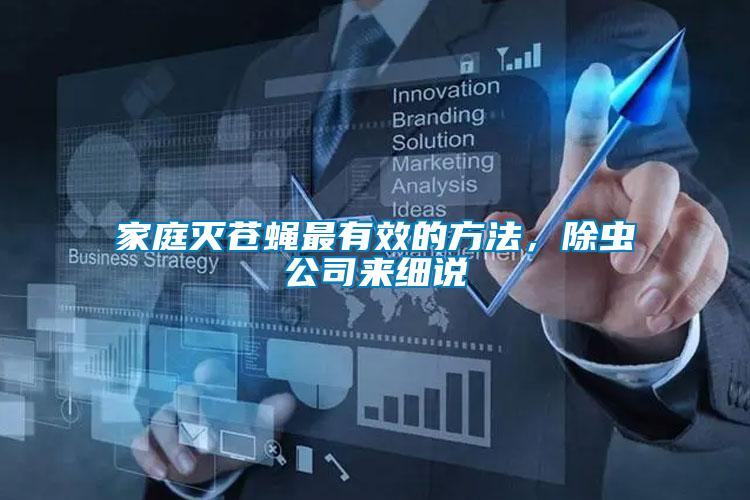 家庭滅蒼蠅最有效的方法，除蟲公司來細(xì)說