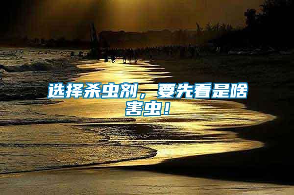 選擇殺蟲劑，要先看是啥害蟲！