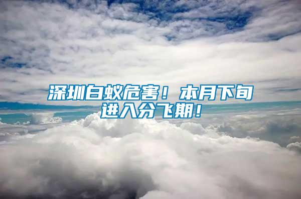 深圳白蟻危害！本月下旬進(jìn)入分飛期！