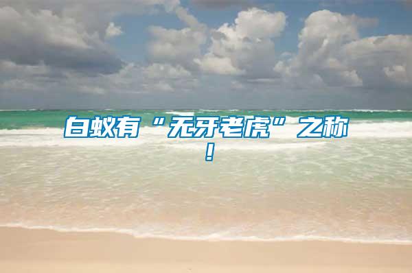 白蟻有“無(wú)牙老虎”之稱！