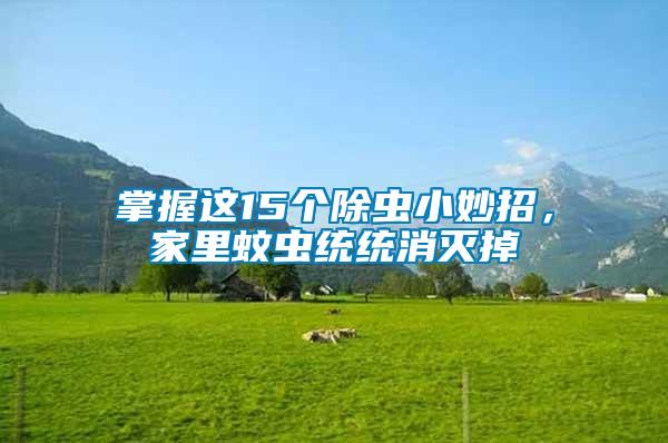 掌握這15個(gè)除蟲(chóng)小妙招，家里蚊蟲(chóng)統(tǒng)統(tǒng)消滅掉