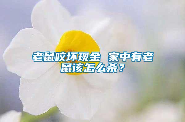 老鼠咬壞現金 家中有老鼠該怎么殺？