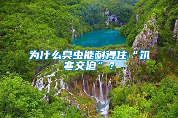 為什么臭蟲(chóng)能耐得住“饑寒交迫”？