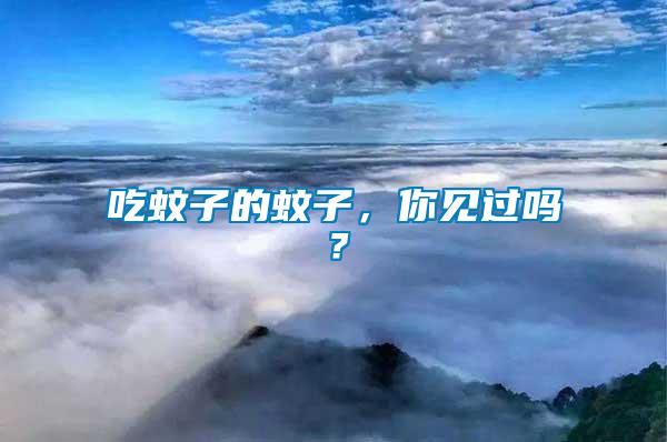 吃蚊子的蚊子，你見過嗎？