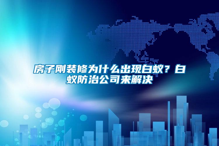 房子剛裝修為什么出現白蟻？白蟻防治公司來解決