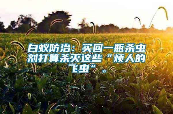 白蟻防治：買回一瓶殺蟲劑打算殺滅這些“煩人的飛蟲”。