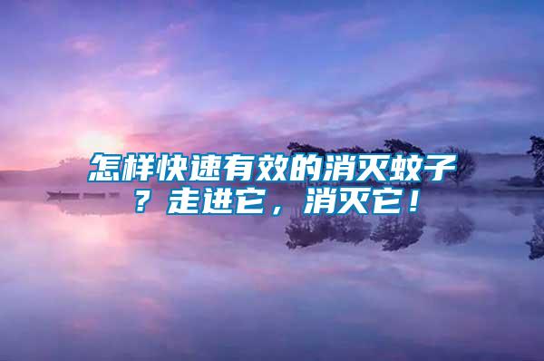 怎樣快速有效的消滅蚊子？走進它，消滅它！