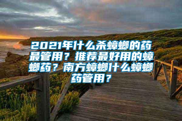 2021年什么殺蟑螂的藥最管用？推薦最好用的蟑螂藥？南方蟑螂什么蟑螂藥管用？