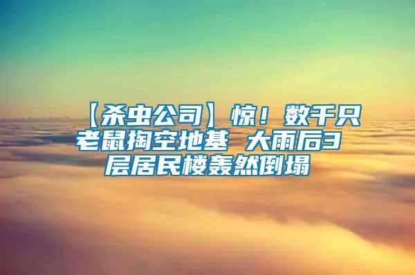 【殺蟲公司】驚！數千只老鼠掏空地基 大雨后3層居民樓轟然倒塌