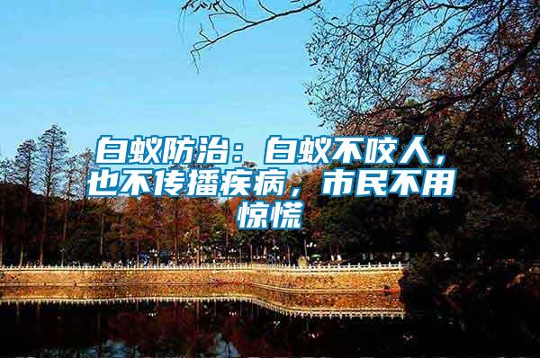 白蟻防治：白蟻不咬人，也不傳播疾病，市民不用驚慌