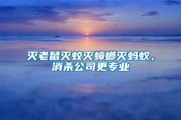 滅老鼠滅蚊滅蟑螂滅螞蟻，消殺公司更專業