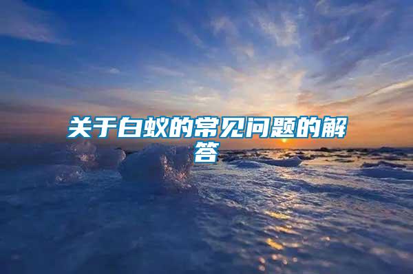關(guān)于白蟻的常見問(wèn)題的解答