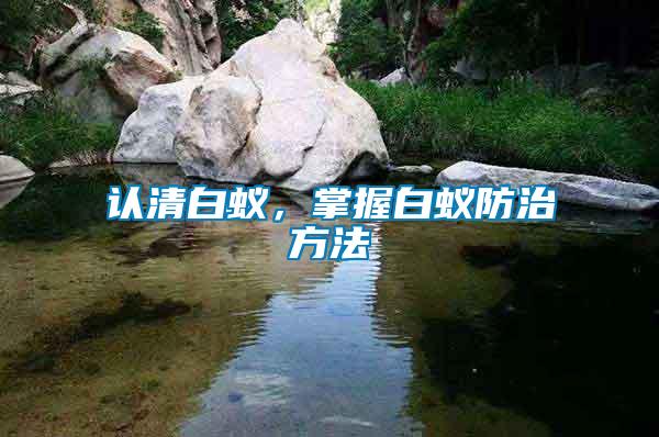 認(rèn)清白蟻，掌握白蟻防治方法