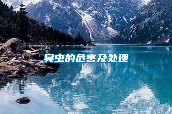 臭蟲(chóng)的危害及處理